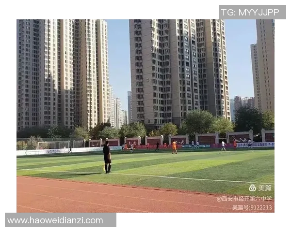 西安羽毛球队实力解析：队员对比与战术分析全景呈现