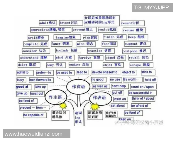 足球明星入队的详细规则解析与图解指南助你轻松理解球队组建过程
